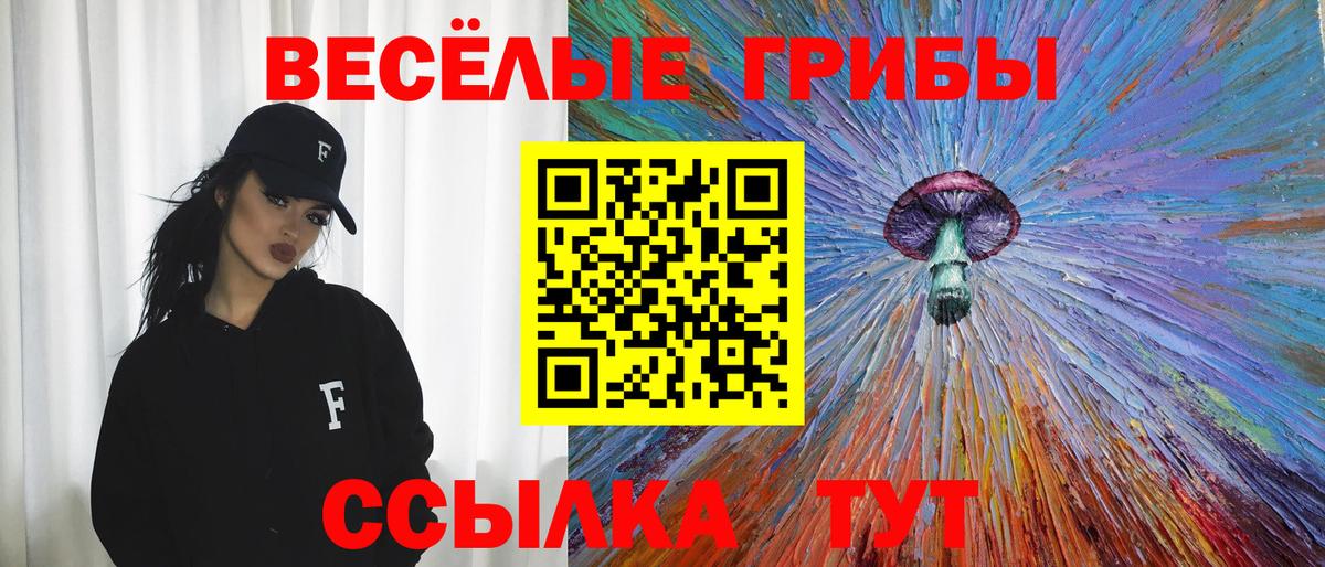 Галлюциногенные грибы Psilocybe  Вход с VPN  Галлюциногенные грибы ЛСД  Ейск 