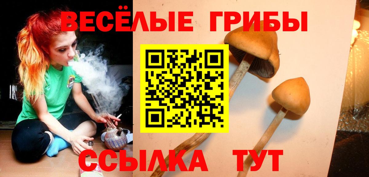 Галлюциногенные грибы MAGIC MUSHROOMS Ейск
