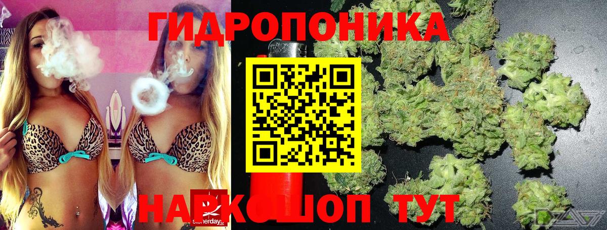 Бошки Шишки план Ейск